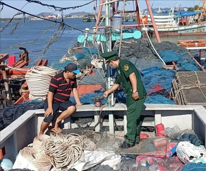 Ba Ria – Vung Tau tightens control of vessels to fight IUU fishing