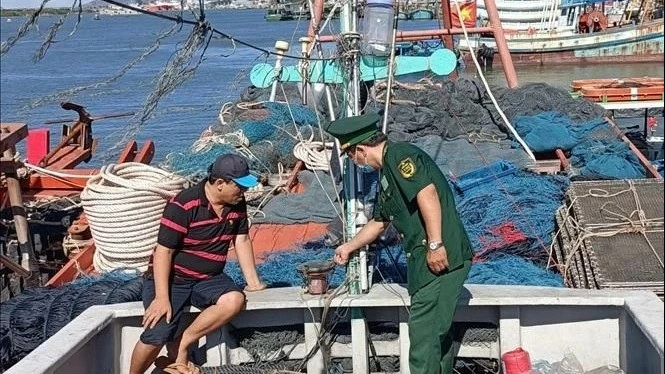 Ba Ria – Vung Tau tightens control of vessels to fight IUU fishing