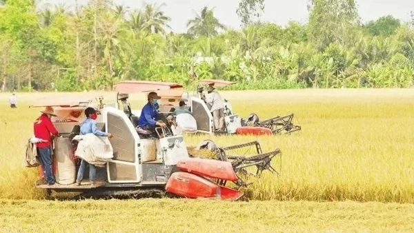 Special mechanisms and policies needed for rice industry to go circular: Experts