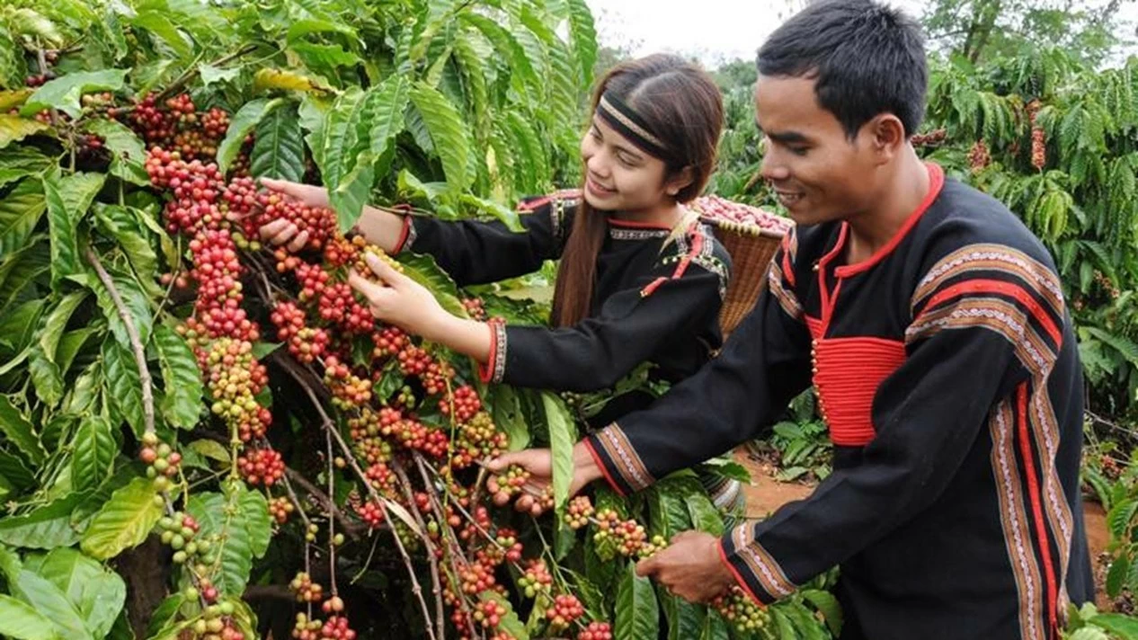 Ngành nông nghiệp Đắk Lắk: Phát huy vai trò trụ đỡ của nền kinh tế