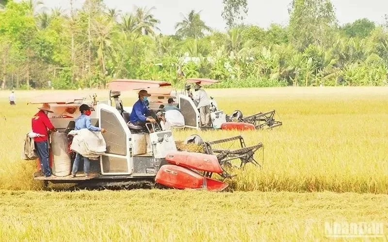 Special mechanisms and policies needed for rice industry to go circular: Experts