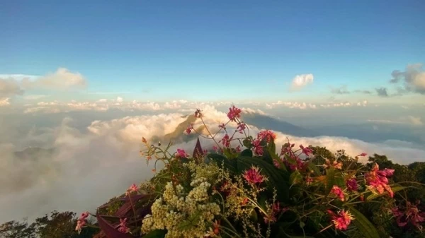 Mặt trận Vị Xuyên, Hà Giang: Miền đá đã 'nở hoa'