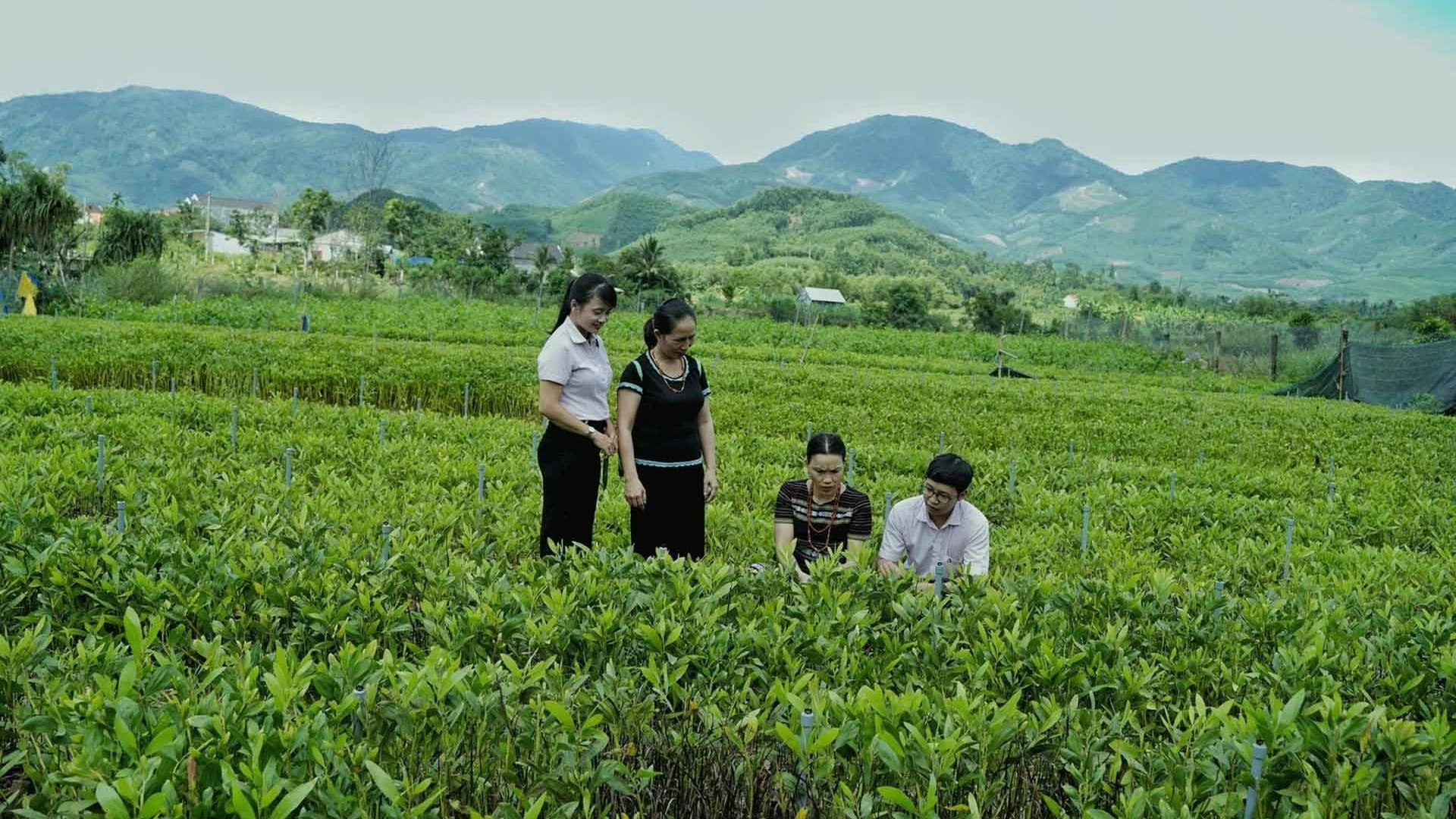 Vùng đất Minh Long viết tiếp trang sử hào hùng, vững niềm tin đi tới