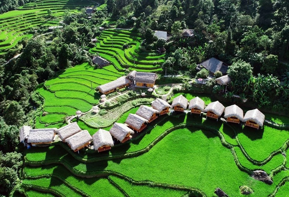 Hà Giang: Mê mẩn ‘bức tranh’ ruộng bậc thang mùa lúa xanh ở Hoàng Su Phì