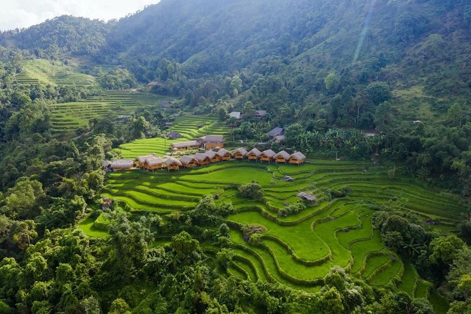 Hà Giang: Đến ngay Hoàng Su Phì chiêm ngưỡng ‘bức tranh’ ruộng bậc thang mùa lúa xanh