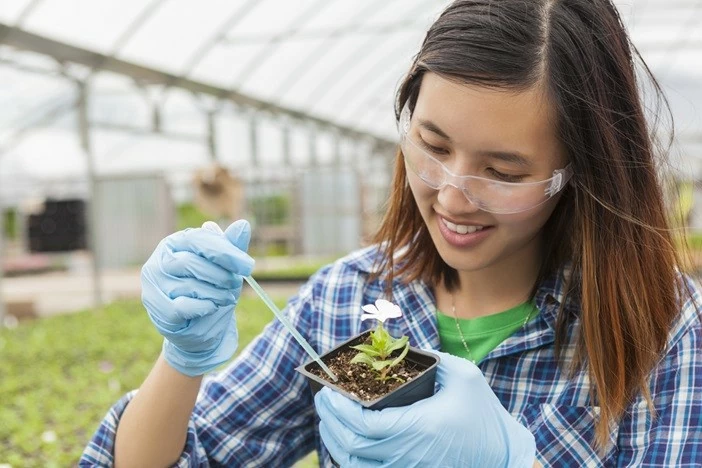 Vietnamese students awarded Women in STEM scholarships to top universities