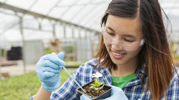 Vietnamese students awarded Women in STEM scholarships to top universities