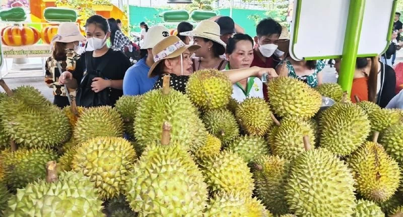 Durian export value set to reach 3.5 billion USD this year: MARD