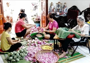 Hanoi lotus-scented tea making craft listed among national intangible cultural heritage