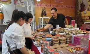 Hanoi fair promotes made-in-Vietnam goods