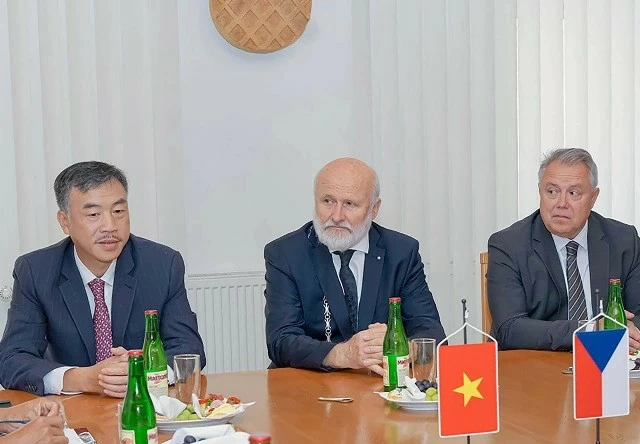 Vietnamese, Czech localities promote cooperation: Ambassador