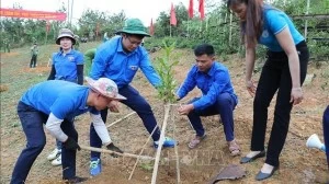 Project to help with climate change adaptation, development in Dien Bien