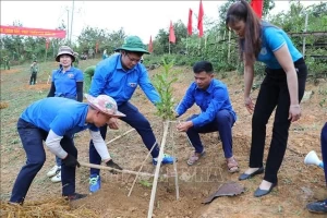 Project to help with climate change adaptation, development in Dien Bien