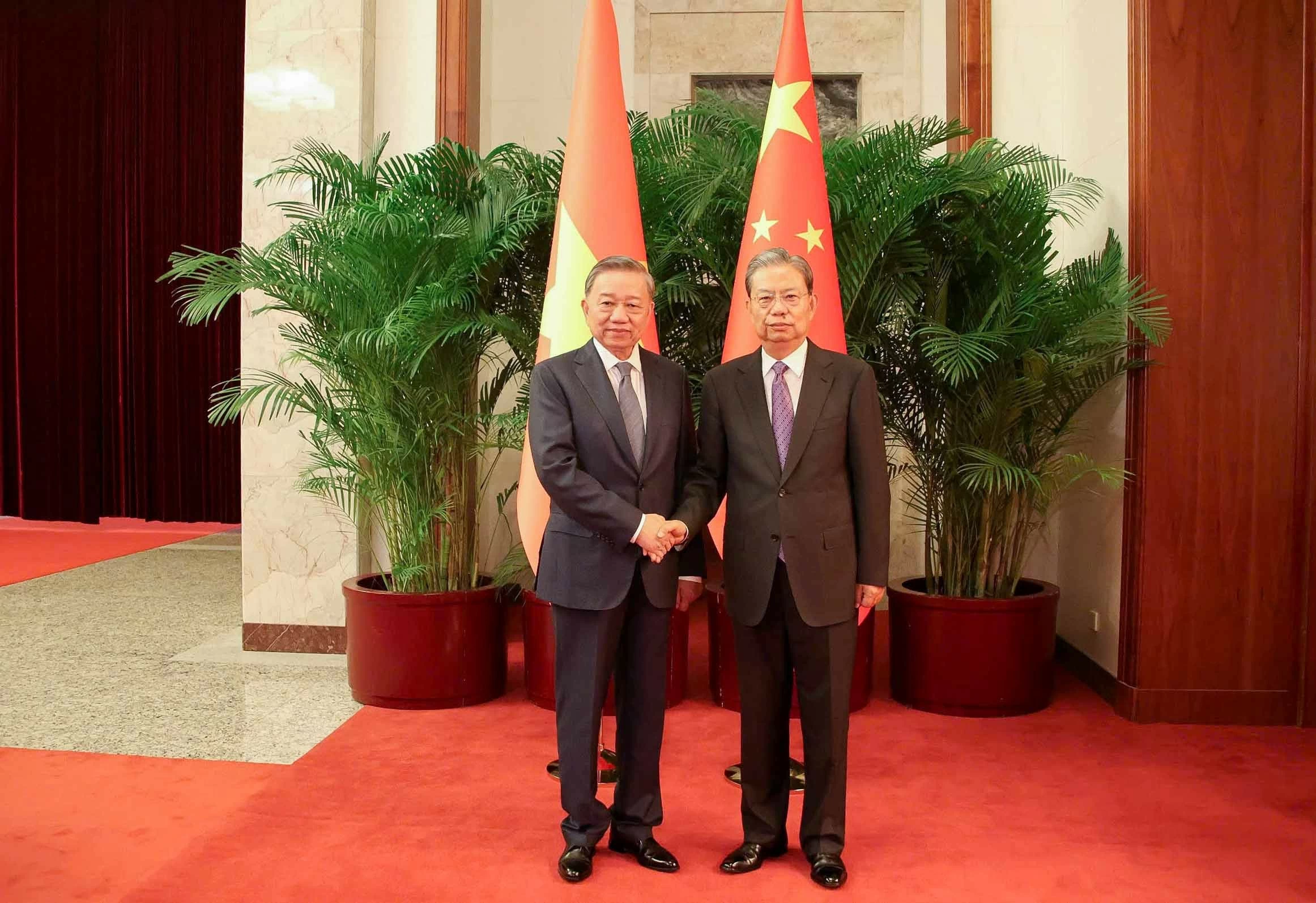 Vietnamese leader meets with top Chinese legislator