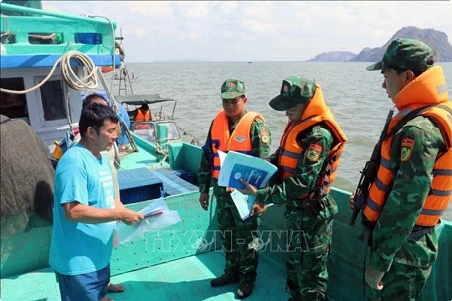 Kien Giang follows EC recommendations to combat IUU fishing