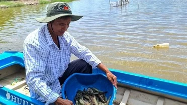 Ca Mau rice-shrimp cultivation model receives first BAP certification