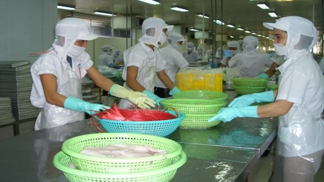 Bất chấp khoảng cách địa lý, Mexico đứng đầu khối CPTPP về nhập khẩu cá tra Việt Nam