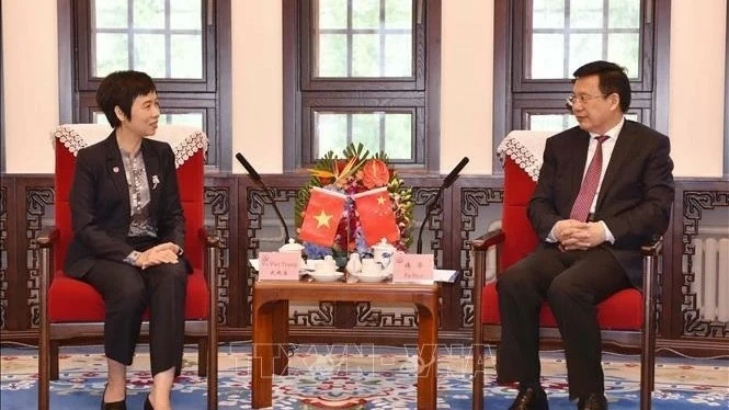 Vietnam News Agency and Xinhua News Agency promote professional cooperation