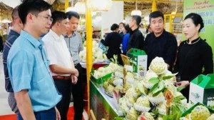 Regional farm produce introduced at Hanoi trade fair