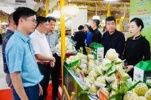 Regional farm produce introduced at Hanoi trade fair