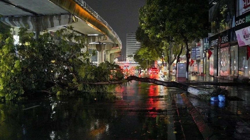 Hà Nội: Chống ngập úng, dọn dẹp cây xanh gãy đổ sau cơn mưa lớn kéo dài trong đêm