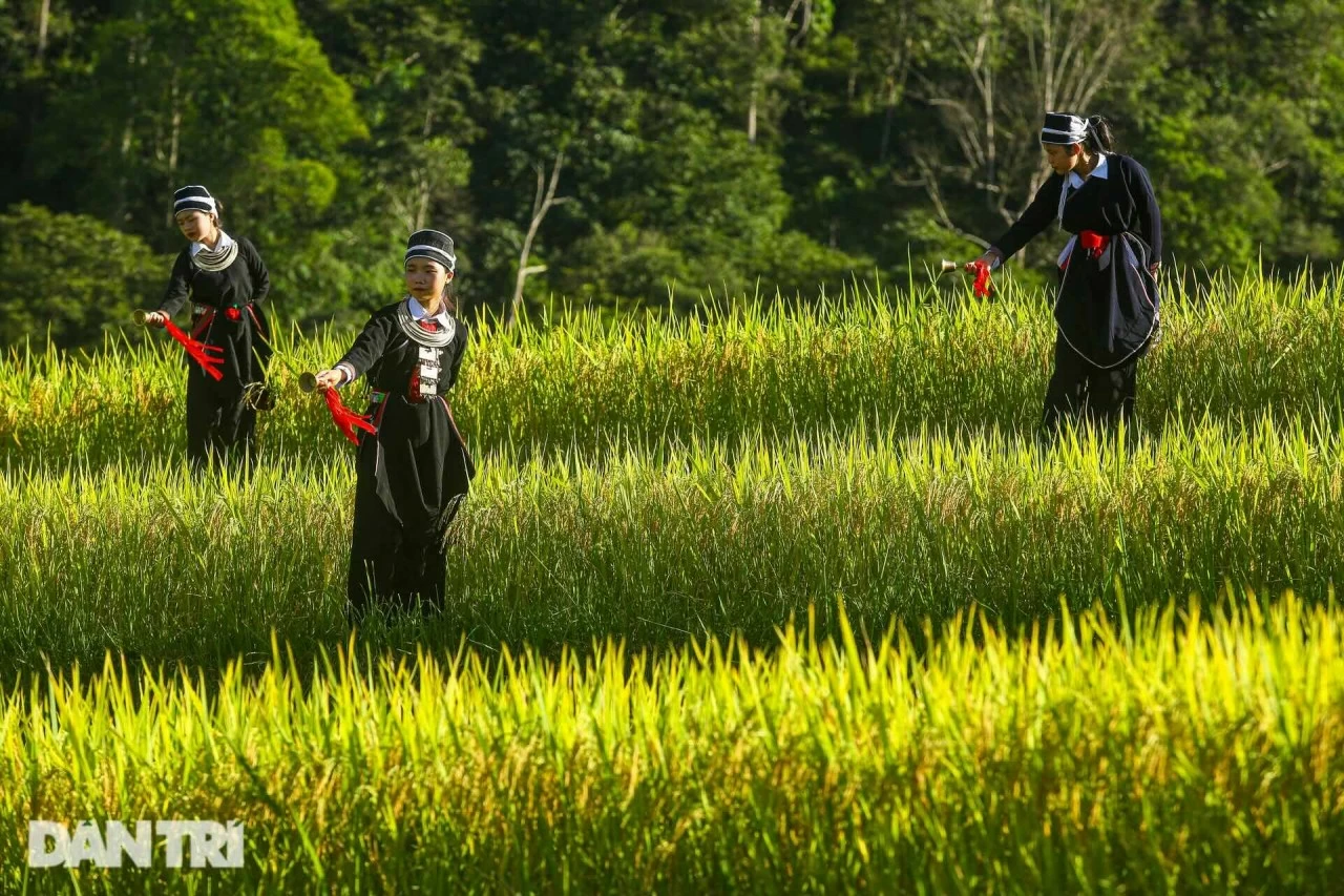 Ruộng bậc thang Hoàng Su Phì: ‘Bức tranh’ thổ cẩm đầy sắc màu giữa lưng chừng trời