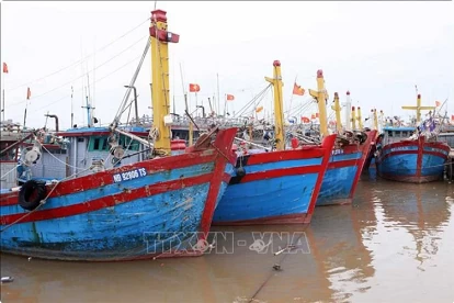 Nam Dinh works to ensure VMS connections in 100% of local fishing boats