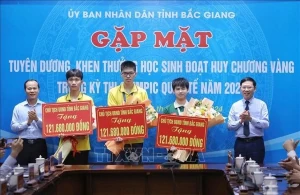 Bac Giang awards outstanding students at international Olympiad