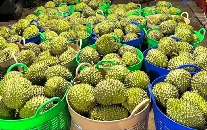China's door opened wide for Vietnamese agricultural product exports