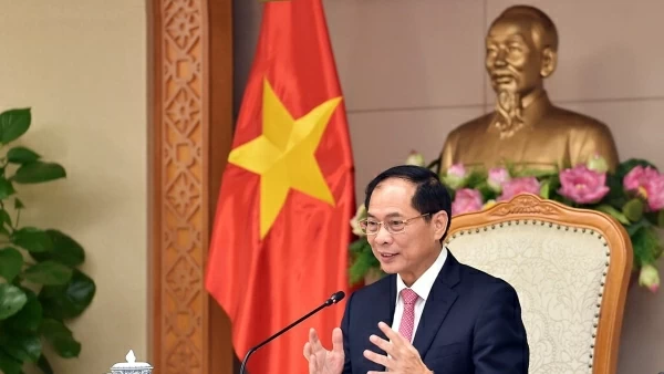 Deputy PM, FM Bui Thanh Son holds online talks with Lao counterpart