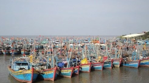 Vietnam ramps up efforts to curb IUU fishing for yellow card removal: MARD