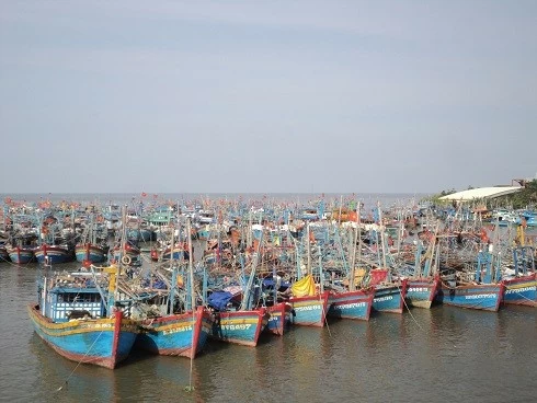 Vietnam ramps up efforts to curb IUU fishing for yellow card removal