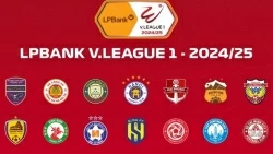 Lịch thi đấu V-League vòng 4 mùa giải 2024/25: Đà Nẵng vs HAGL, Nam Định vs Sông Lam Nghệ An, Hà Nội vs CAHN