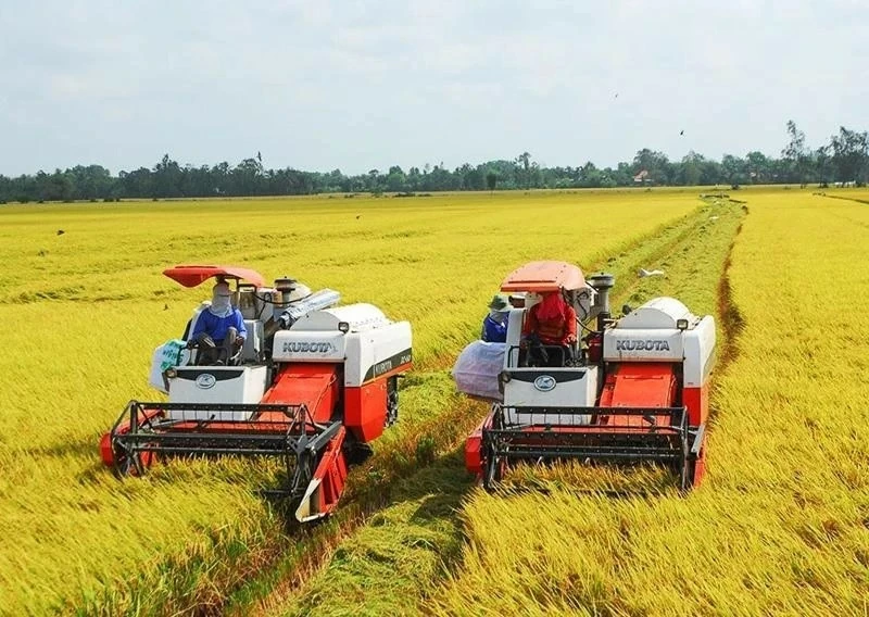 Million ha of high-quality, low-emission rice with green growth in Mekong Denlta region by 2030: MARD