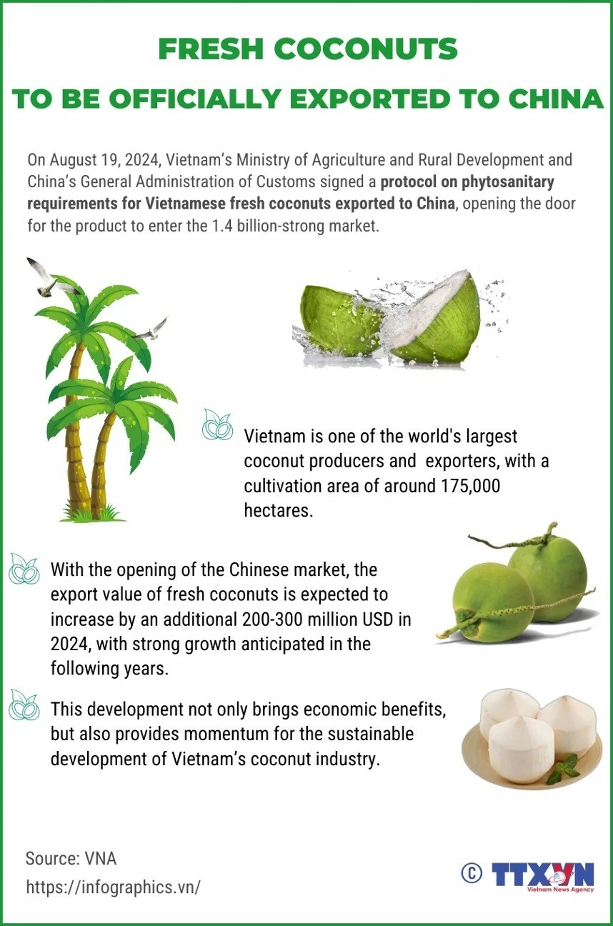 Fresh coconuts to be officially exported to China