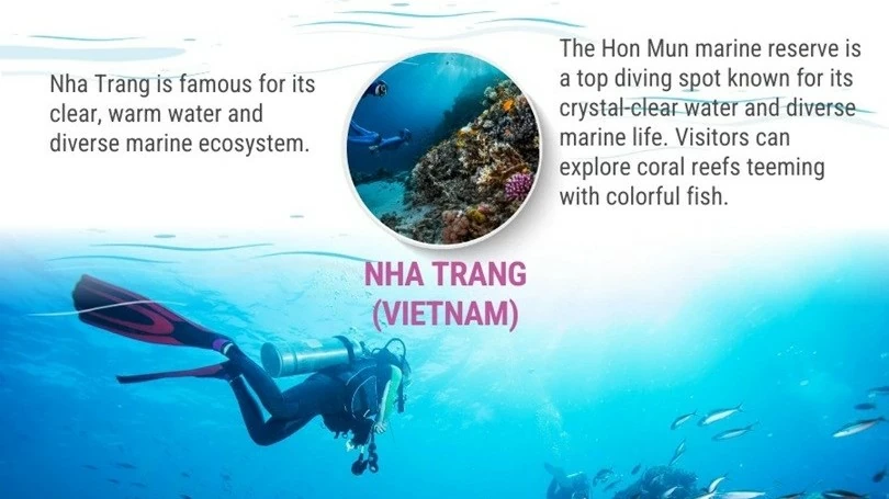 Nha Trang ranked among top 5 most beautiful diving destinations in Asia