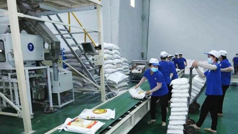 Vietnam's rice exports could reach 8 million tons this year