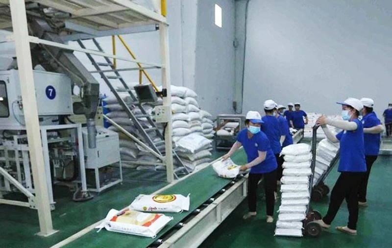 Vietnam's rice exports could reach 8 million tons this year