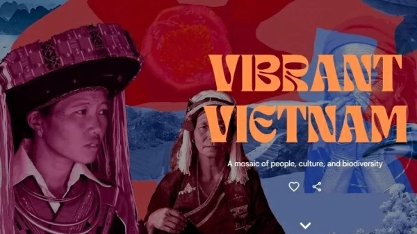 Google ra mắt chuyên trang đặc biệt dành cho Việt Nam với tên gọi 'Vibrant Vietnam'