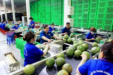 New markets help fruit exports grow to record revenues