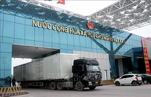 Export-import through Mong Cai int’l border gate grows 24%