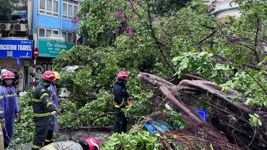 Hình ảnh loạt cây xanh Hà Nội đổ do mưa giông, ảnh hưởng từ siêu bão Yagi