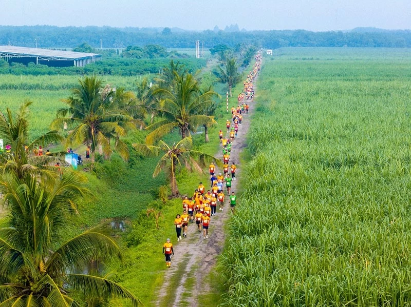 Băng qua những cánh đồng mía bất tận của TTC AgriS, VĐV được đắm chìm trong bầu không khí trong lành của thiên nhiên, đồng thời cũng được thách thức giới hạn của bản thân với nhiều địa hình khó nhằn.