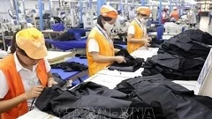 US consulting firm optimistic about Vietnam’s economic outlook