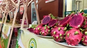 Vietnam to hold first fruit festival in Beijing: MOIT