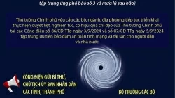 Thủ tướng yêu cầu bộ, ngành, địa phương tập trung ưu tiên bảo đảm an toàn tính mạng và tài sản cho người dân và nhà nước