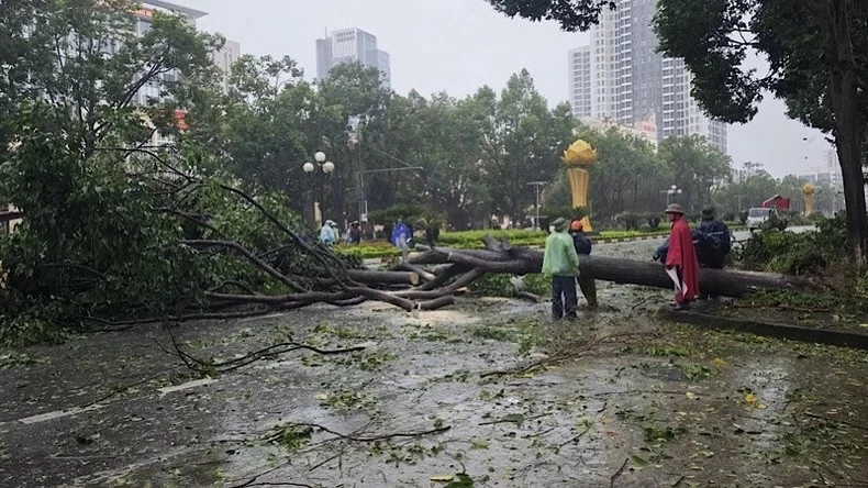 Hình ảnh đổ nát khi bão số 3 càn quét các địa phương phía Bắc