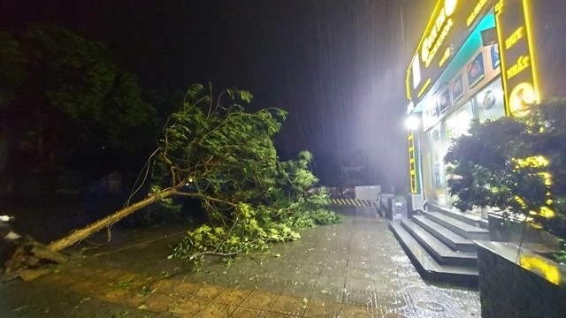 Typhoon Yagi leaves Hanoi devastated