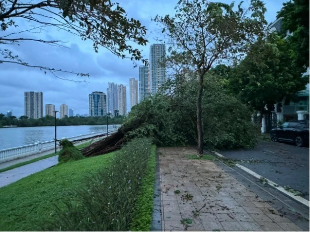 Typhoon Yagi leaves Hanoi devastated