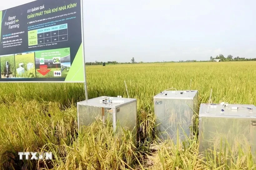 Devices to gauge greenhouse gas emission in an organic rice farming model in Can Tho. (Photo: VNA)